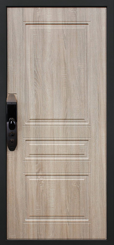 Стальная дверь   Фиджи. Заказная модель.