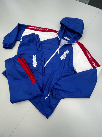 Костюм спортивный триколор