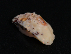 Опал благородный, Эфиопия (12*7*5 мм, 0,3 г) №24132