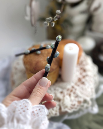 Силиконовая форма Мини веточка вербы