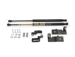 Амортизаторы капота, 2 шт. Rival для Chevrolet Cruze I / I рестайлинг 2009-2012 / 2012-2015