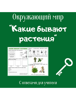 Рабочий лист. 2 класс. "Какие бывают растения"