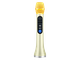 Профессиональный караоке-микрофон  L-899DSP  30w