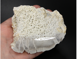 Халцедон виноградный, срез полированный, Россия, Северный Кавказ, КЧР, Усть-Джегутинский район (90*72*42 мм, 274 г) №27452