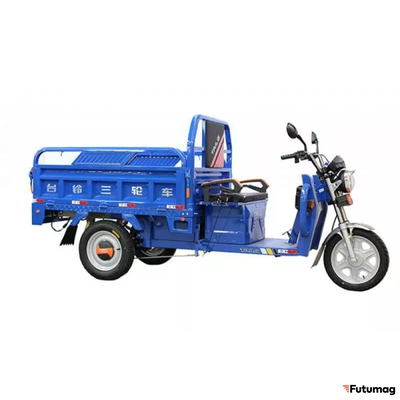 Грузовой электротрицикл TaiLG TL1000