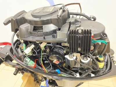 Лодочный мотор PARSUN F9.9ABMS-EFI PRO - MNELODKU.RU