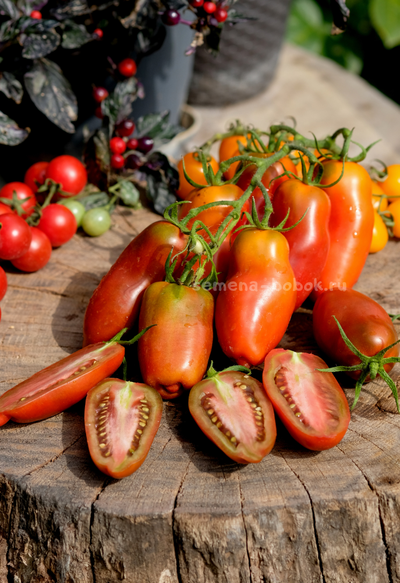 Томат Черный перец (Black Pepper), 10 шт