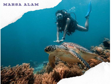 SEA TRIP TO MARSA MUBARAK - DIVING TOUR FROM MARSA ALAM