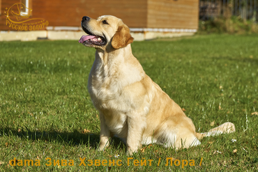 2 г 11 мес. Лора и золотая осень.