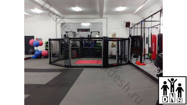 мма октагон