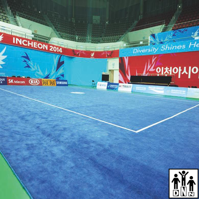 Ковер соревновательный для ушу-таолу