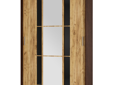 Шкаф-купе Денвер ШКК-03 (BTS)