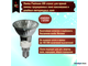 Paulmann Halogen ALU Reflector PAR16 35w 230v E14