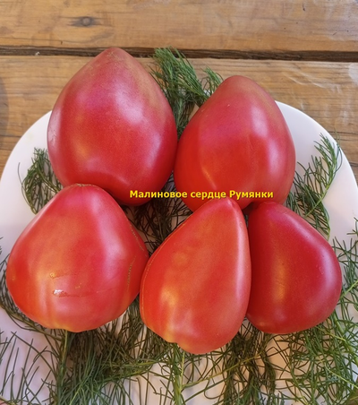 Томат Малиновое сердце Румянки (Malinowe Serce Rumianki)