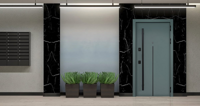 Стальная дверь    «Briz». Заказная модель.