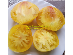 Томат гном Лимонный лед (Dwarf Lemon Ice, дварф Лемон айс) США