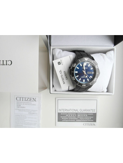 Наручные часы Citizen NY0075-12L