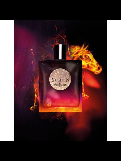 PIERRE GUILLAUME STÆLIOS