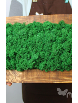 ЖИВАЯ ЭКО-КАРТИНА 1046