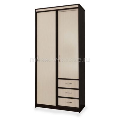 Шкаф-купе Карина 1,0