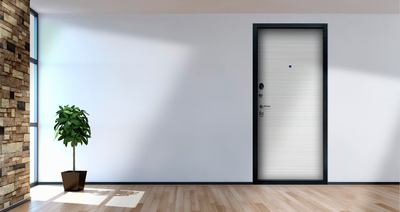 Стальная дверь   Next 1