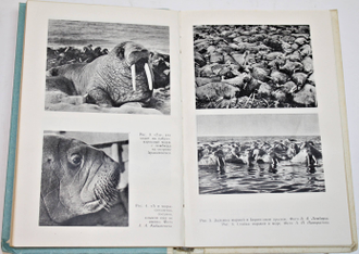 Томилин А.Г. Снова в воду: Биологический очерк об околоводных, полуводных и водных млекопитающих. М.: Знание. 1984г.