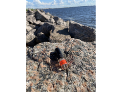 Духи НОТА: УСТА САХАРНЫЕ, 2.5 мл