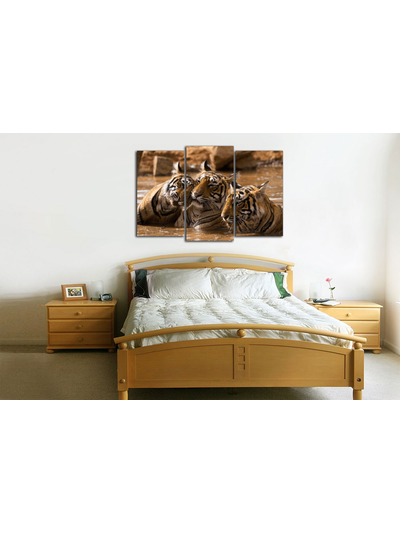 Модульная картина "Тигры в воде"