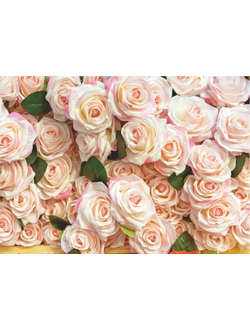 Фотообои "Роскошные розы"