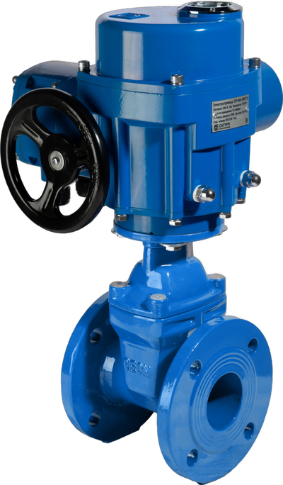 Задвижка чугунная с обрезиненным клином RSV61 DN65 PN10/16 с электроприводом 220В