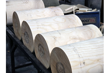 Заготовка экологически чистого шпона