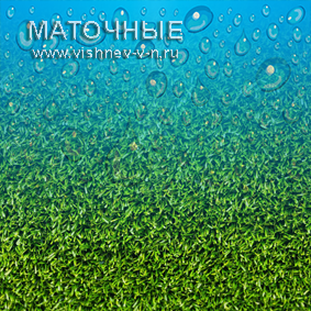 Капли маточные