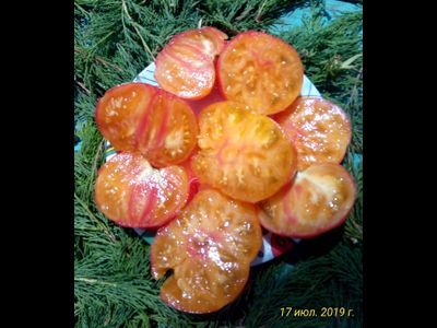 томат Гном Фероковай (Dwarf Wherokowhai)