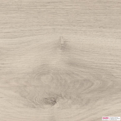 Декор ламината Haro Дуб Эмилия Светло-Серый 538651 структура
