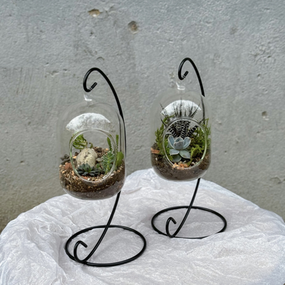 Флорариум Подвесной мини