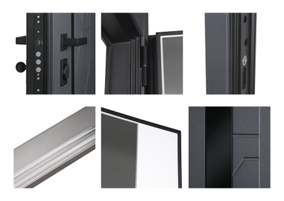 Стальная дверь   Forest с зеркалом