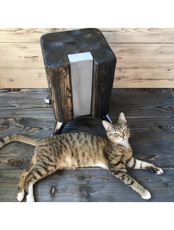 столик, пень, прикроватный столик, декор, журнальный столик, массив, дизайнерская мебель, сосна, дуб