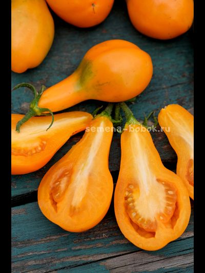 Томат Мила, 10 шт.