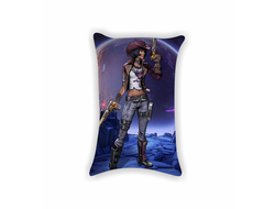 Подушки Borderlands, Бордерленд №33