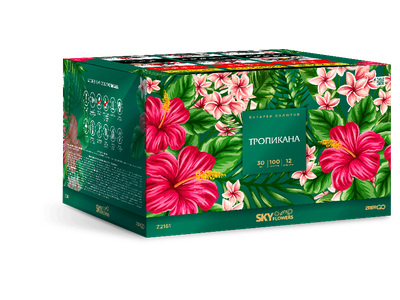 Салют Z2161 ZEERGO