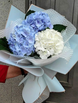 Букет из гортензии "Dreams" (цвет на выбор)