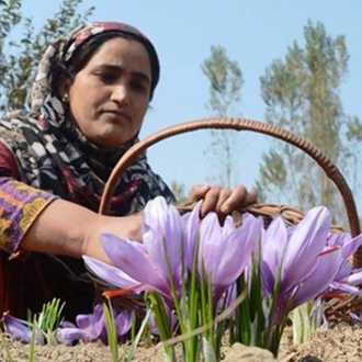 Аттар Шафран кашмирский (Сrocus sativus) на базе Сандала белого 2 г