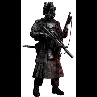 ПРЕДЗАКАЗ - Спецназовец-самурай - Коллекционная ФИГУРА 1/6 Tactical Group Extreme Zone Special Warfare Ming Dynasty Jinyiwei (EBS003) - DAMTOYS X TRN ?ЦЕНА: 38900 РУБ.?