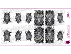 Слайдер-дизайн 302 - Желтоглазая сова, тату.