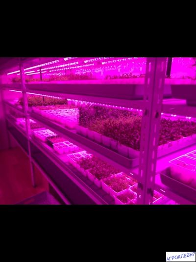 Светильник для растений 1500мм 18Вт Jazzway PPG-WP Agro