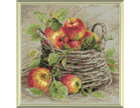 Спелые яблоки AM0015 (алмазная мозаика) mc