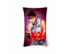 Подушка Сектор Газа, Юрий Хой №32