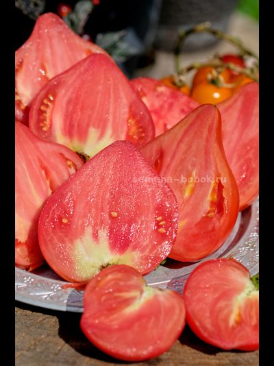 Томат Кызыл Тау, 10 шт