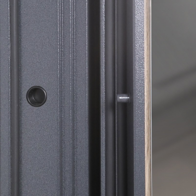 Стальная дверь    Беркут с зеркалом