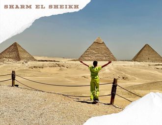 CAIRO BY BUS, PROGRAM STANDARD